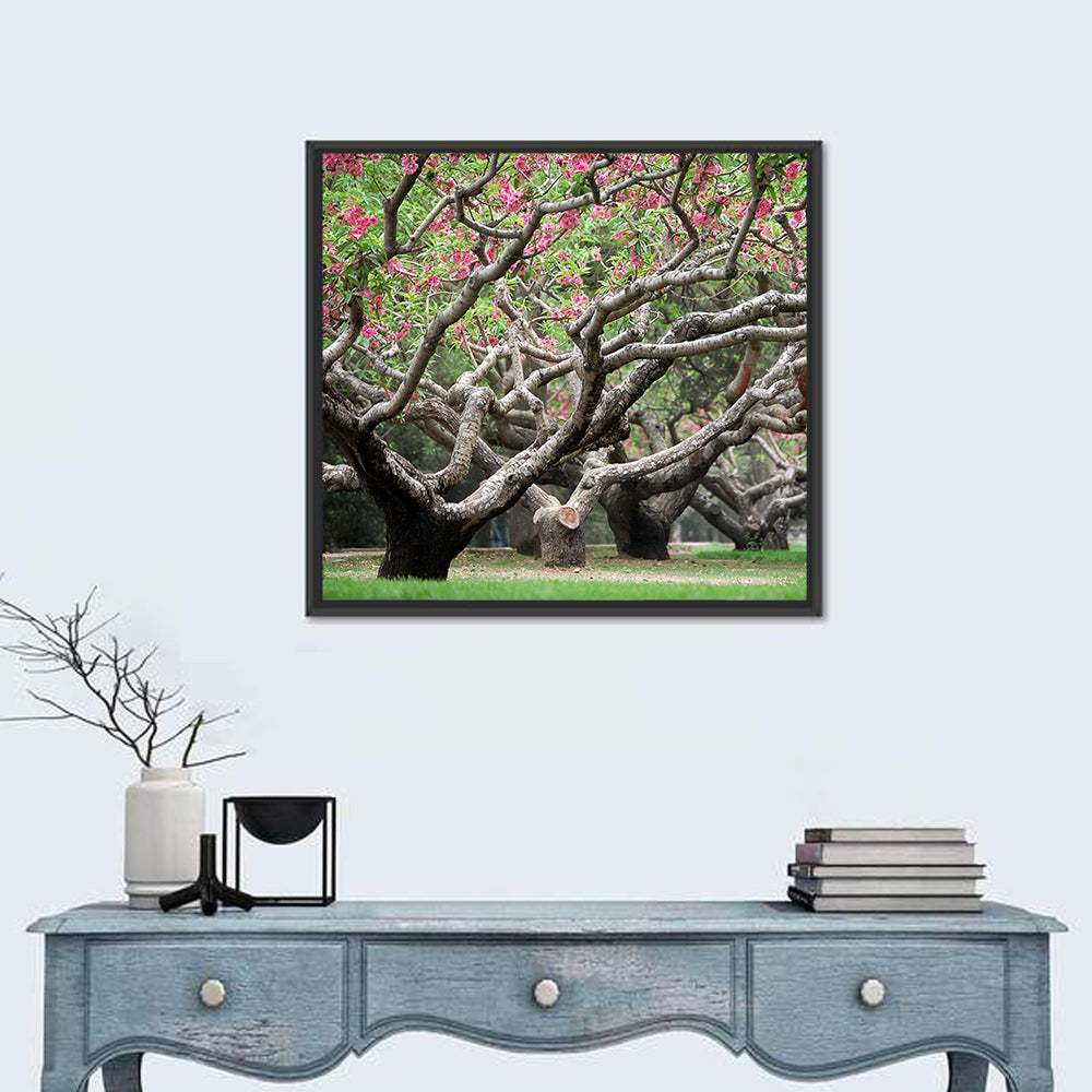 Peach Orchard in Bloom Wall Art in a room, square