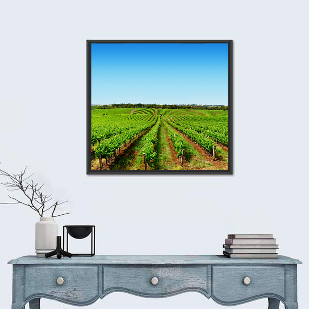 Sunlit Vineyard Rows Wall Art in a room, square