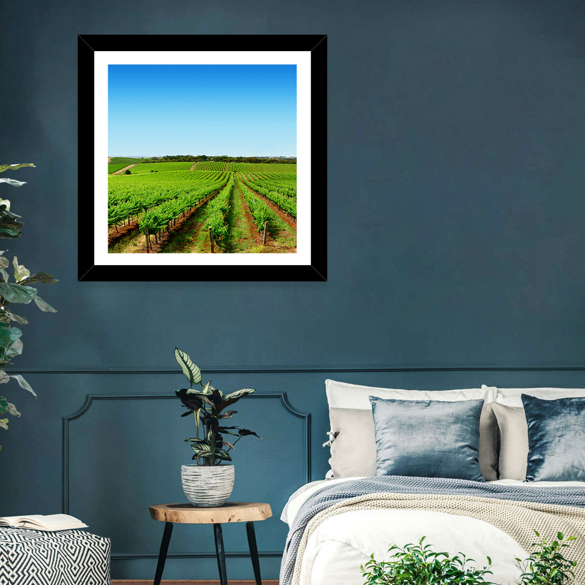 Sunlit Vineyard Rows Wall Art in a room, square
