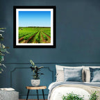 Sunlit Vineyard Rows Wall Art
