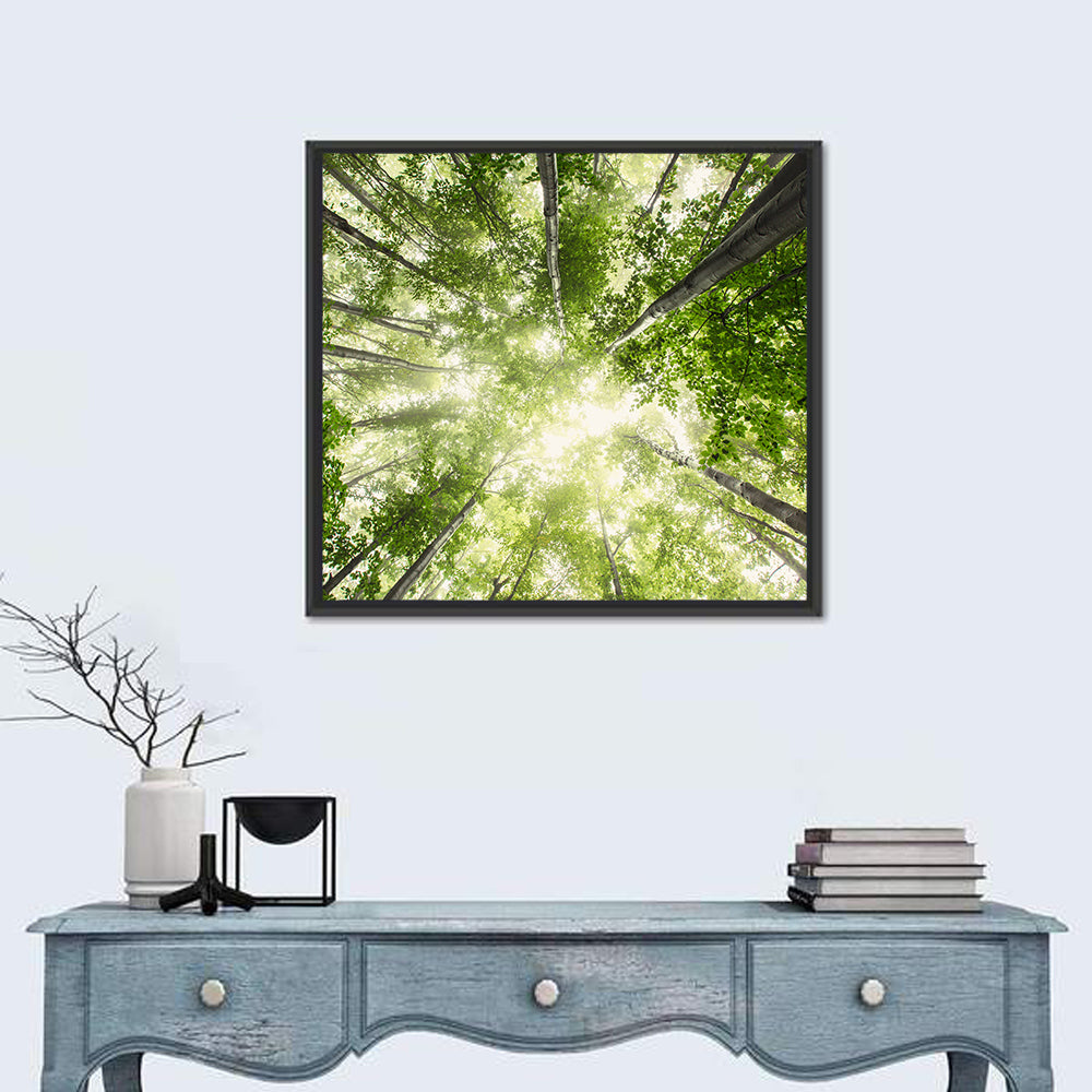 Spring Canopy in Morning Mist Wall Art
