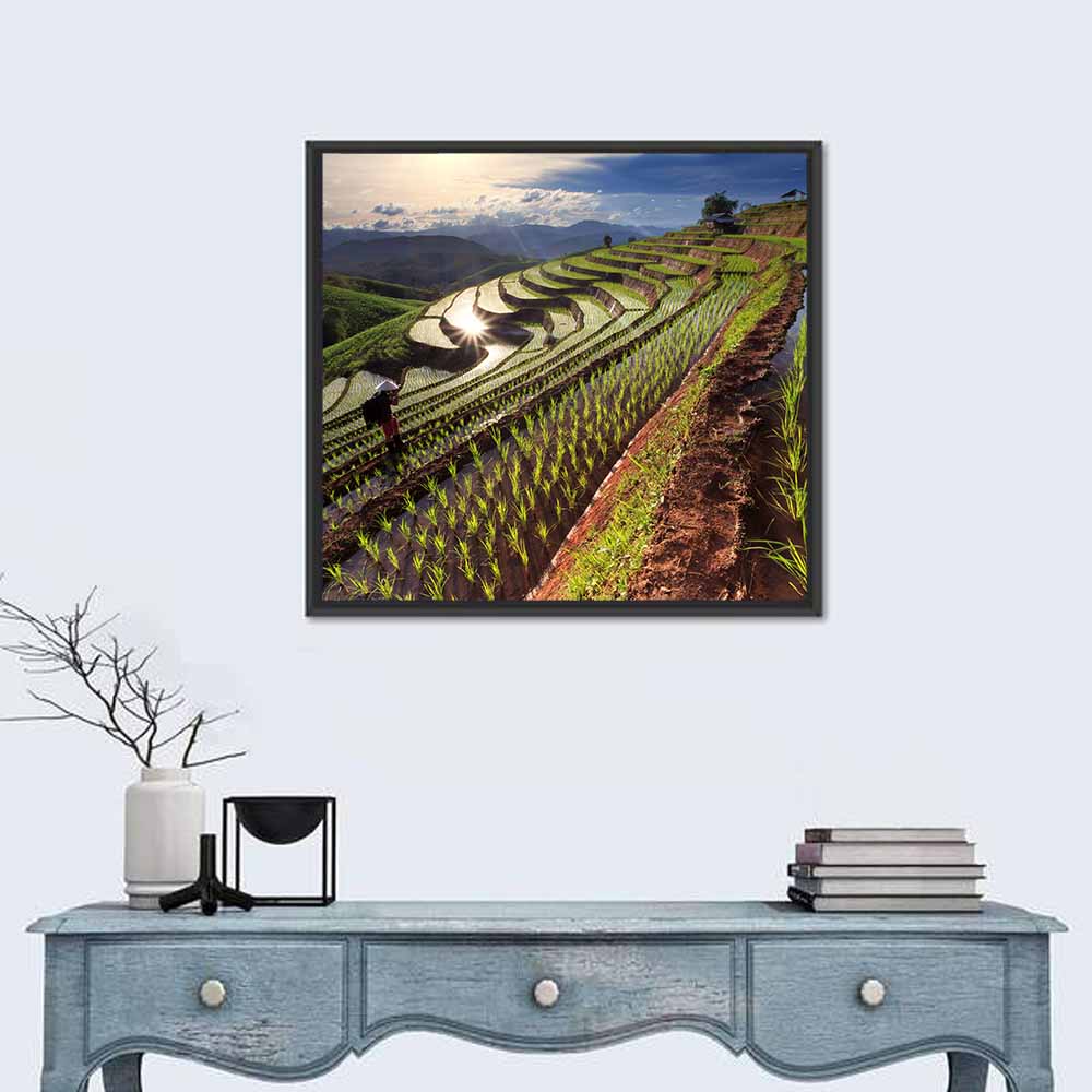 Chiang Mai Rice Fields Wall Art