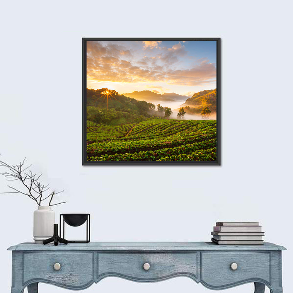 Strawberry Fields Sunrise Wall Art