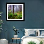 Misty Spruce-fir Trail Wall Art