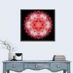 Magenta Chrysanthemum Star Mandala Wall Art
