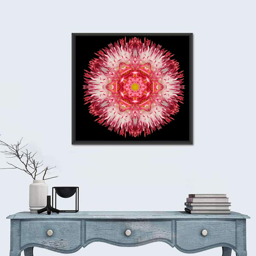 Magenta Chrysanthemum Star Mandala Wall Art