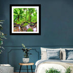 Mossy Rainforest Stream Wall Art