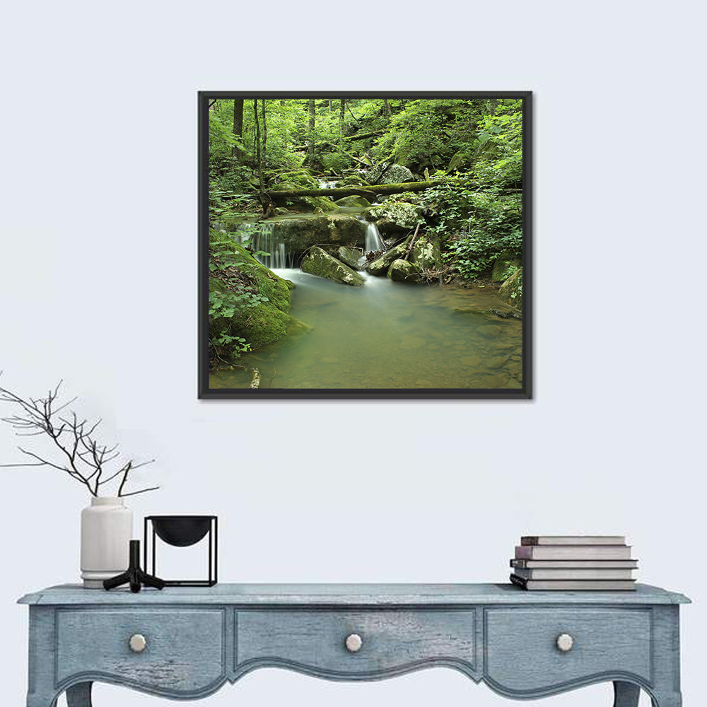 Arkansas Forest Stream Wall Art in a room, square