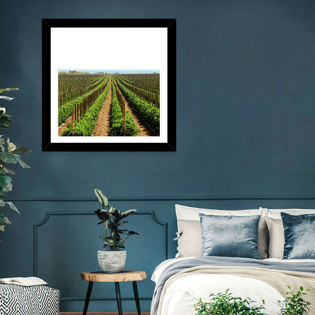Tomato Fields Wall Art