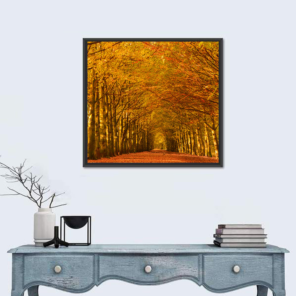 Forest Beech Trees Wall Art