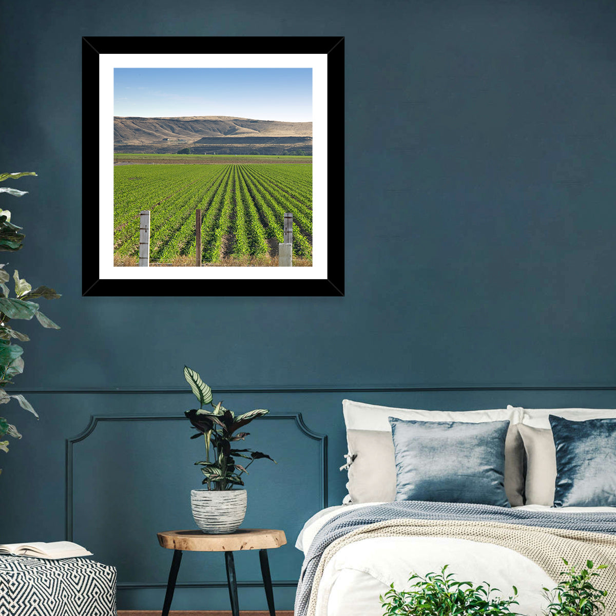 Idaho Corn Field Wall Art in a room, square