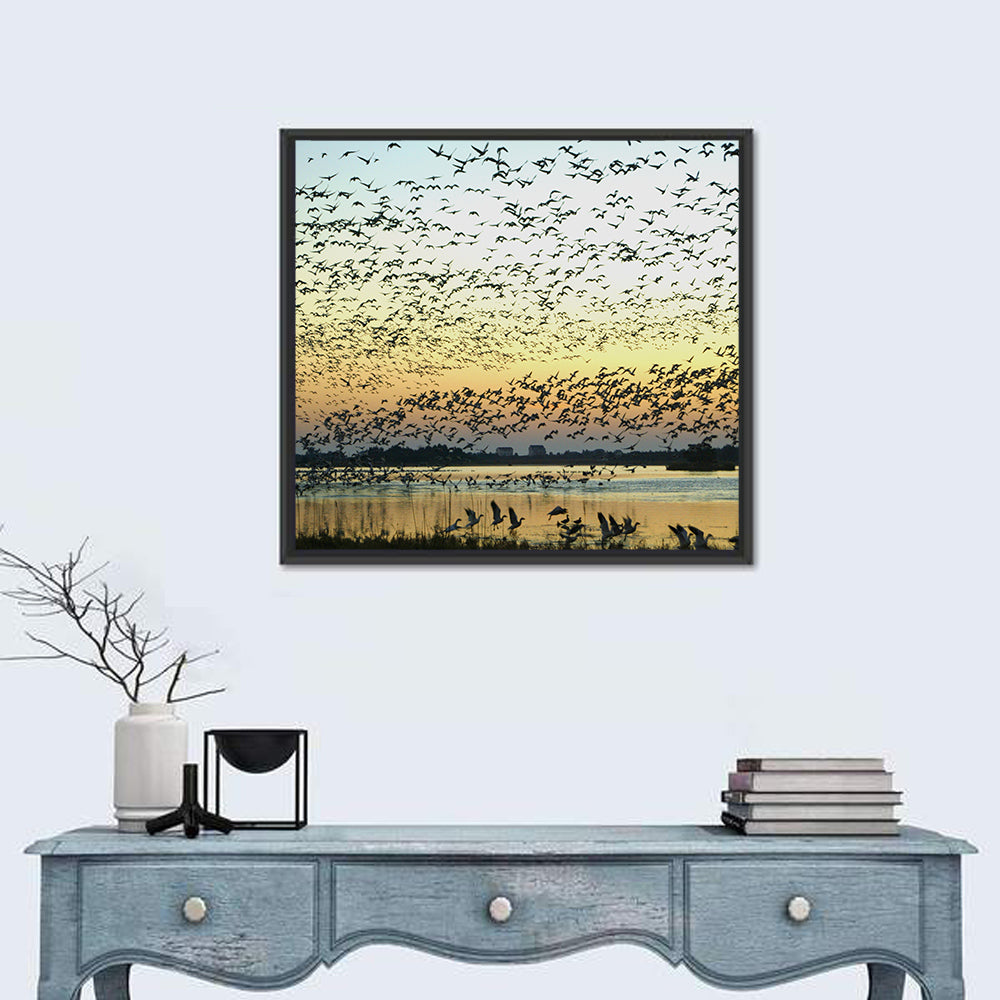 Snow Geese Over River Wall Art in a room, square