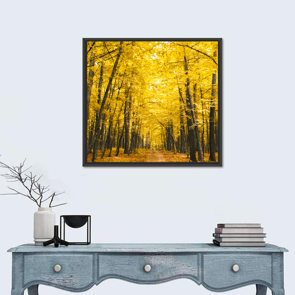 Yellow Autumn Forest Path Wall Art in a room, square