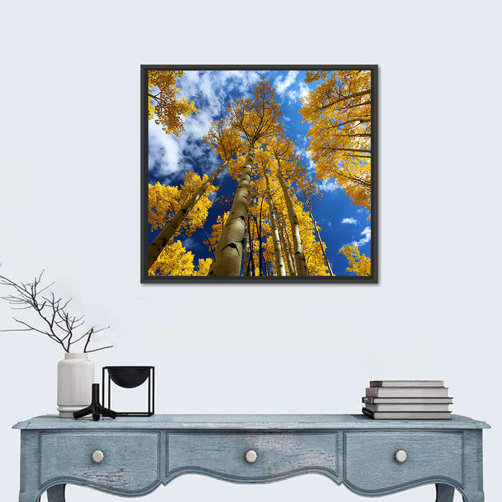 Golden Aspen Canopy View Wall Art
