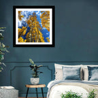 Golden Aspen Canopy View Wall Art