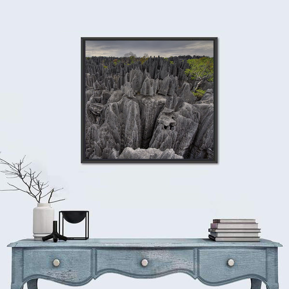 Tsingy De Bemaraha Pinnacles Wall Art in a room, square