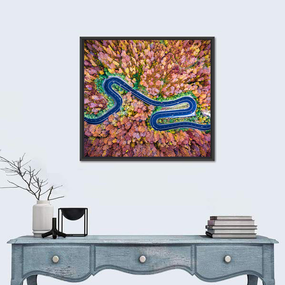 Aerial Winding Road Wall Art