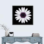 White Daisy Mandala on Black Wall Art