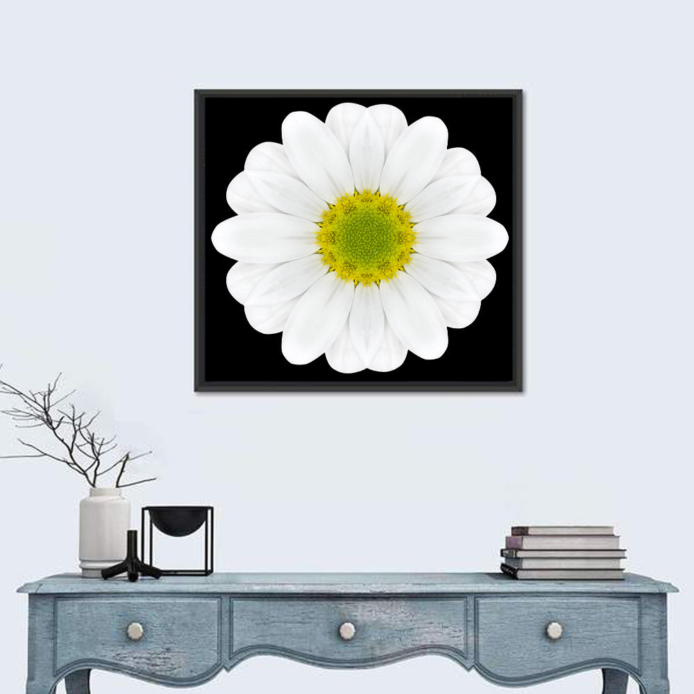 High Contrast Daisy Mandala Pattern Wall Art in a room, square