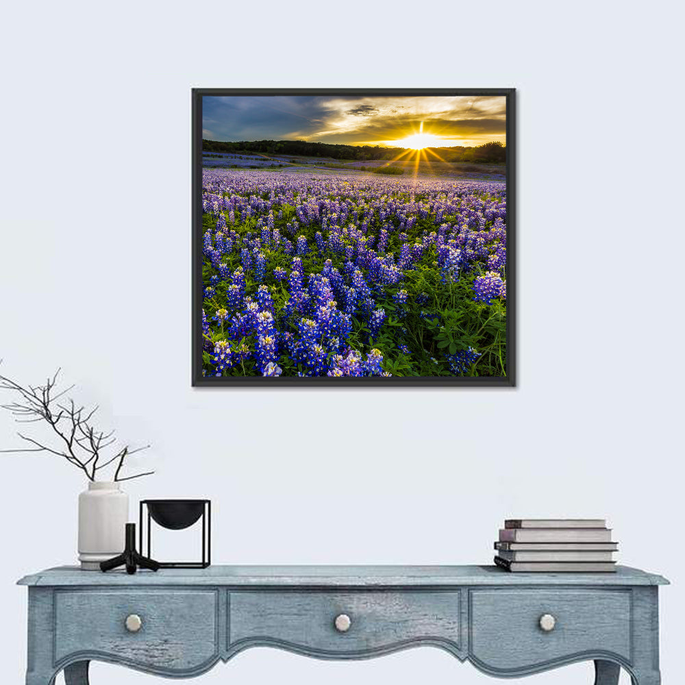 Texas Bluebonnet Field at Sunset Wall Art in a room, square