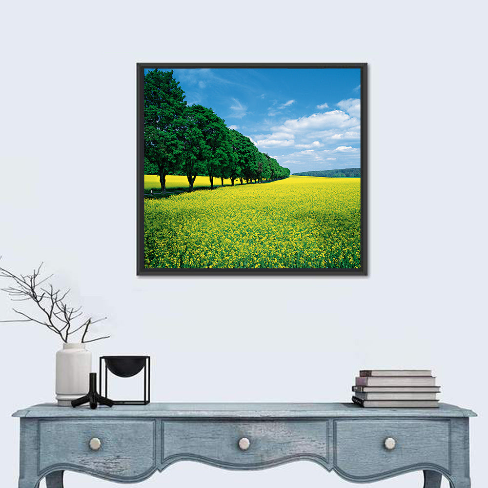 Spring Field of Yellow Flowers Wall Art in a room, square