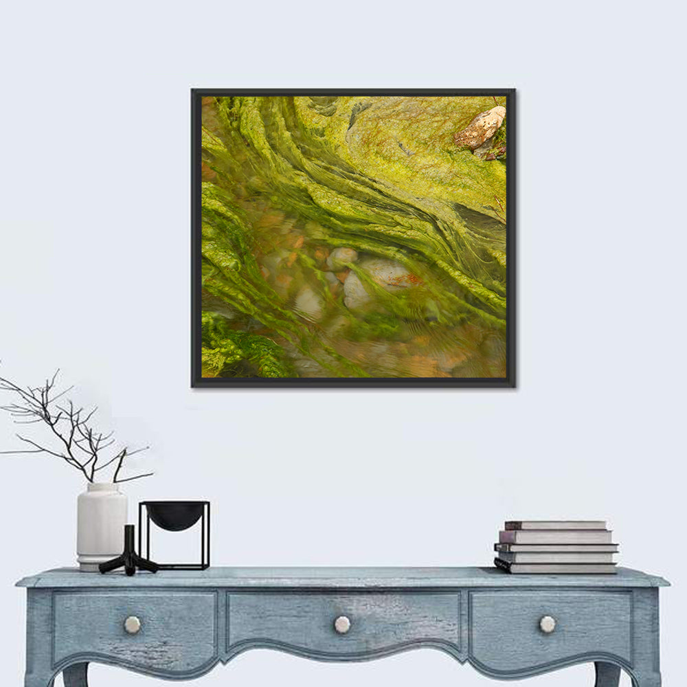 Macro Algae Stream Wall Art in a room, square