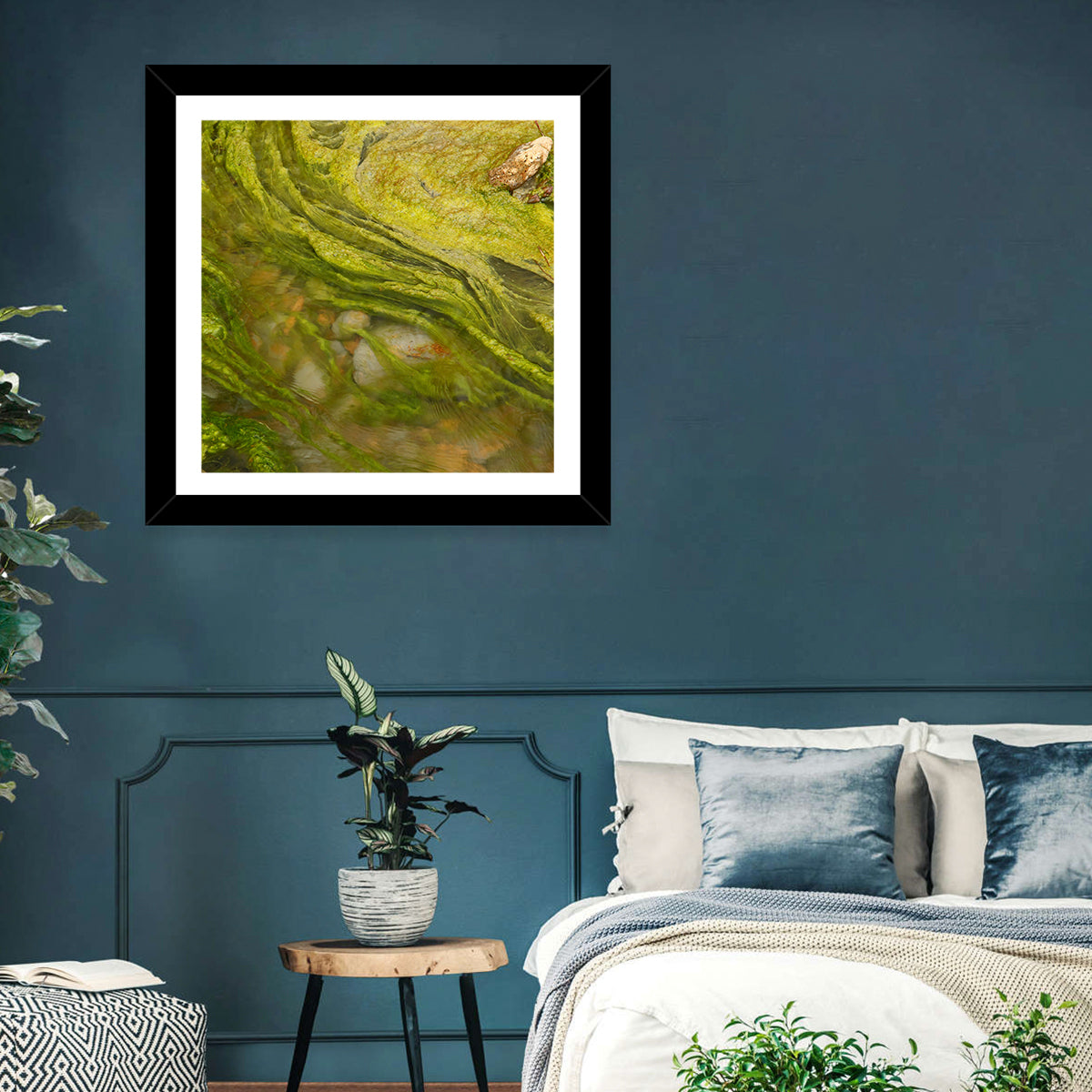 Macro Algae Stream Wall Art in a room, square