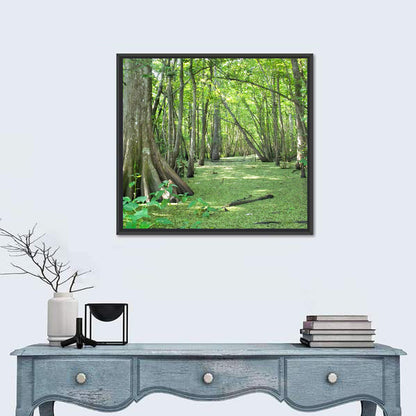 Louisiana Cypress Bayou Wall Art