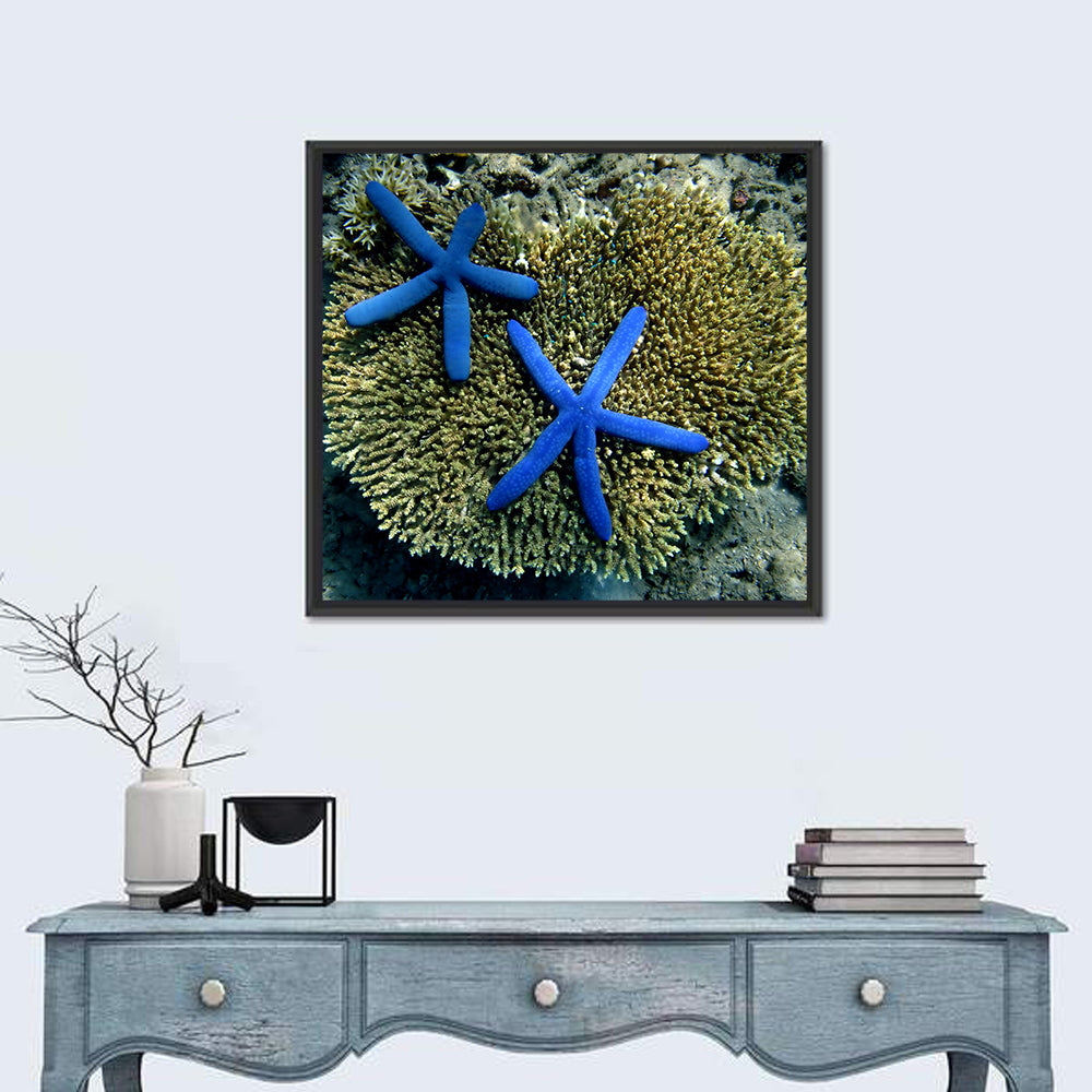 Blue Starfish Wall Art in a room, square