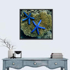 Blue Starfish Wall Art