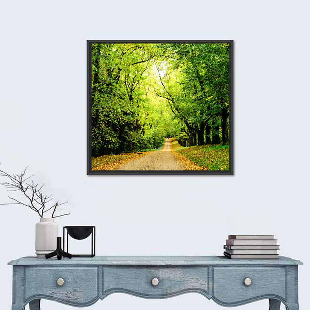 Sunlit Forest Pathway Wall Art