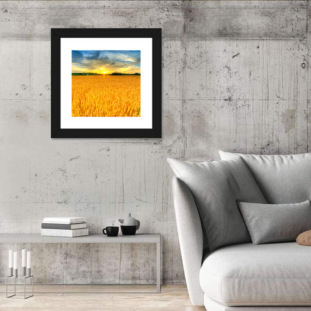 Wheat Field Sunset Wall Art in a room, square