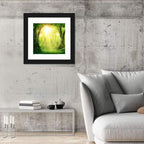 Enchanted Forest at Sunrise Wall Art