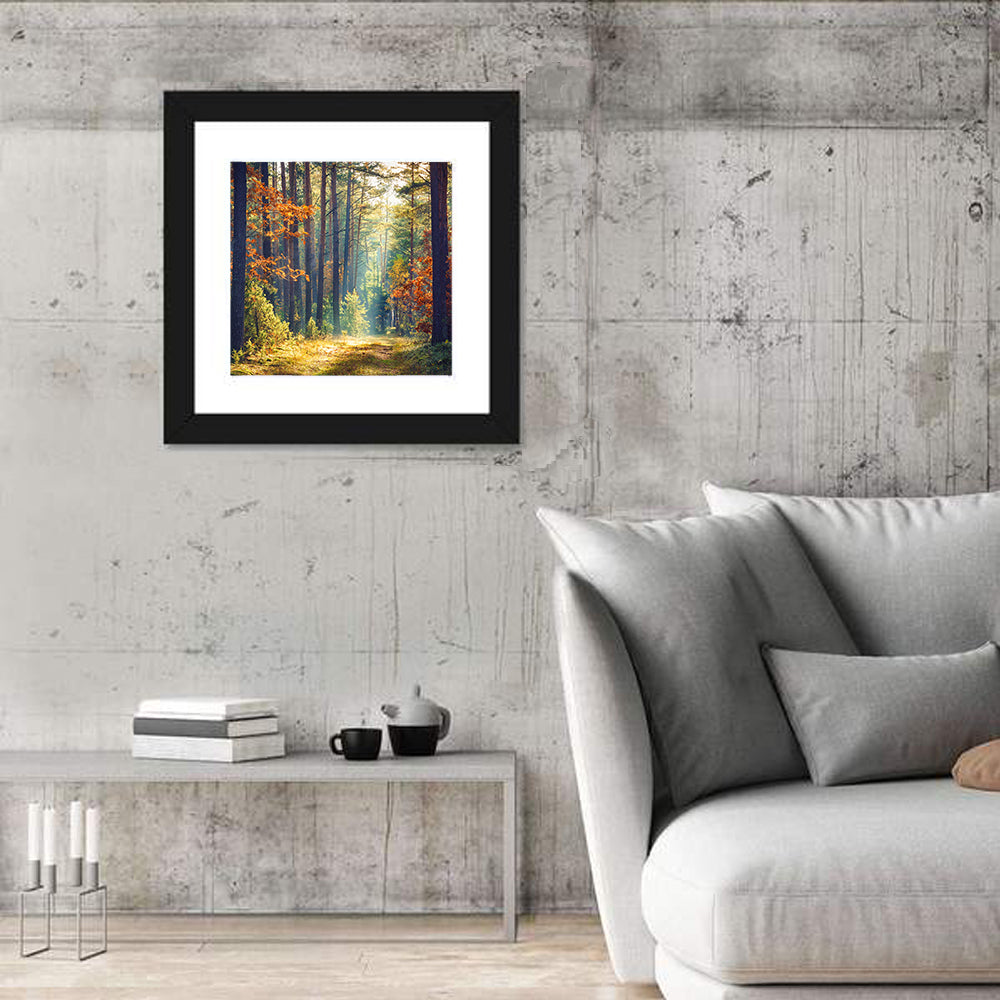 Sunlit Autumn Pine Forest Wall Art