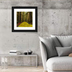 Yellow Brick Path Through Redwoods Wall Art