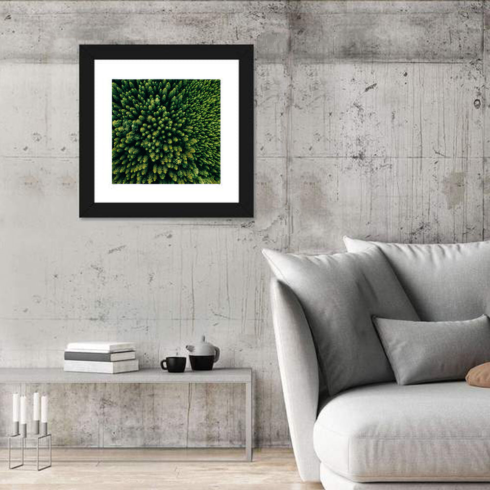 Aerial Conifer Canopy Wall Art in a room, square