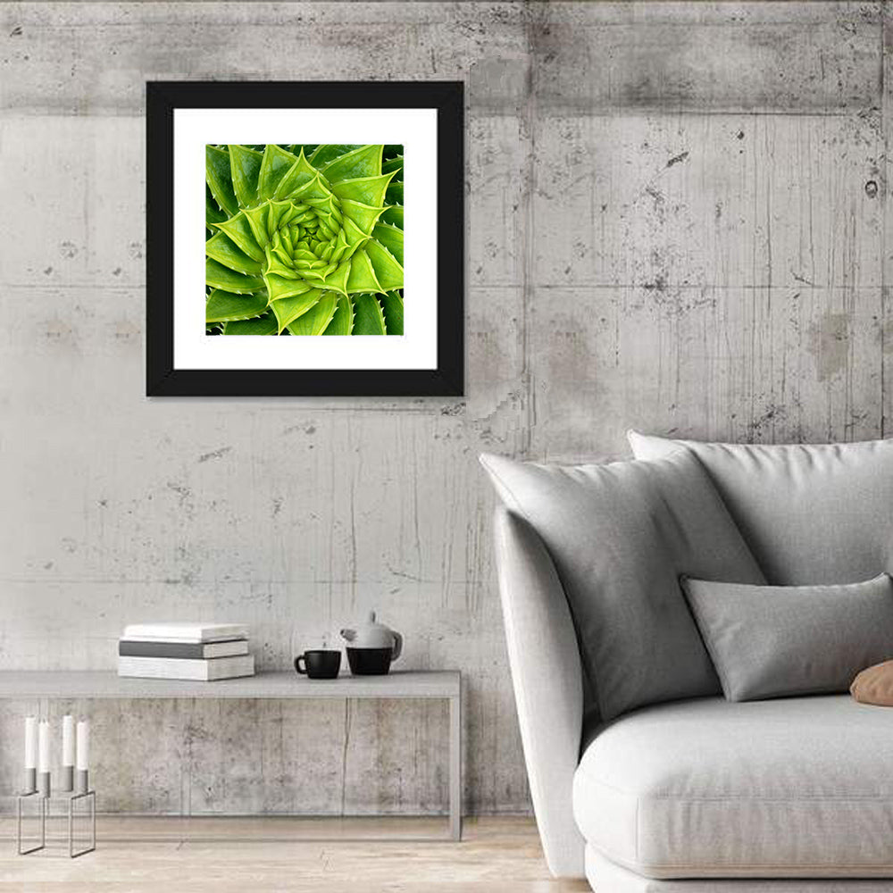 Spiral Aloe Succulent Wall Art
