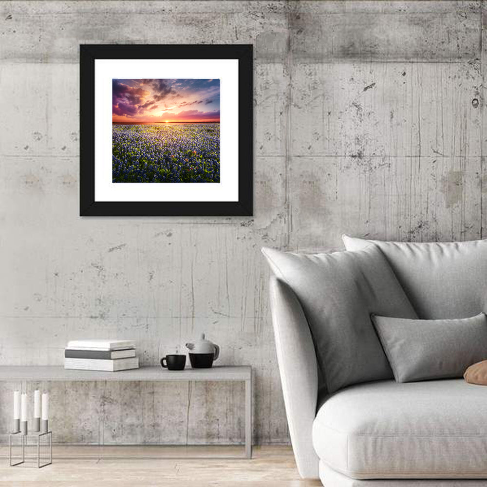 Texas Bluebonnet Sunset Wall Art in a room, square