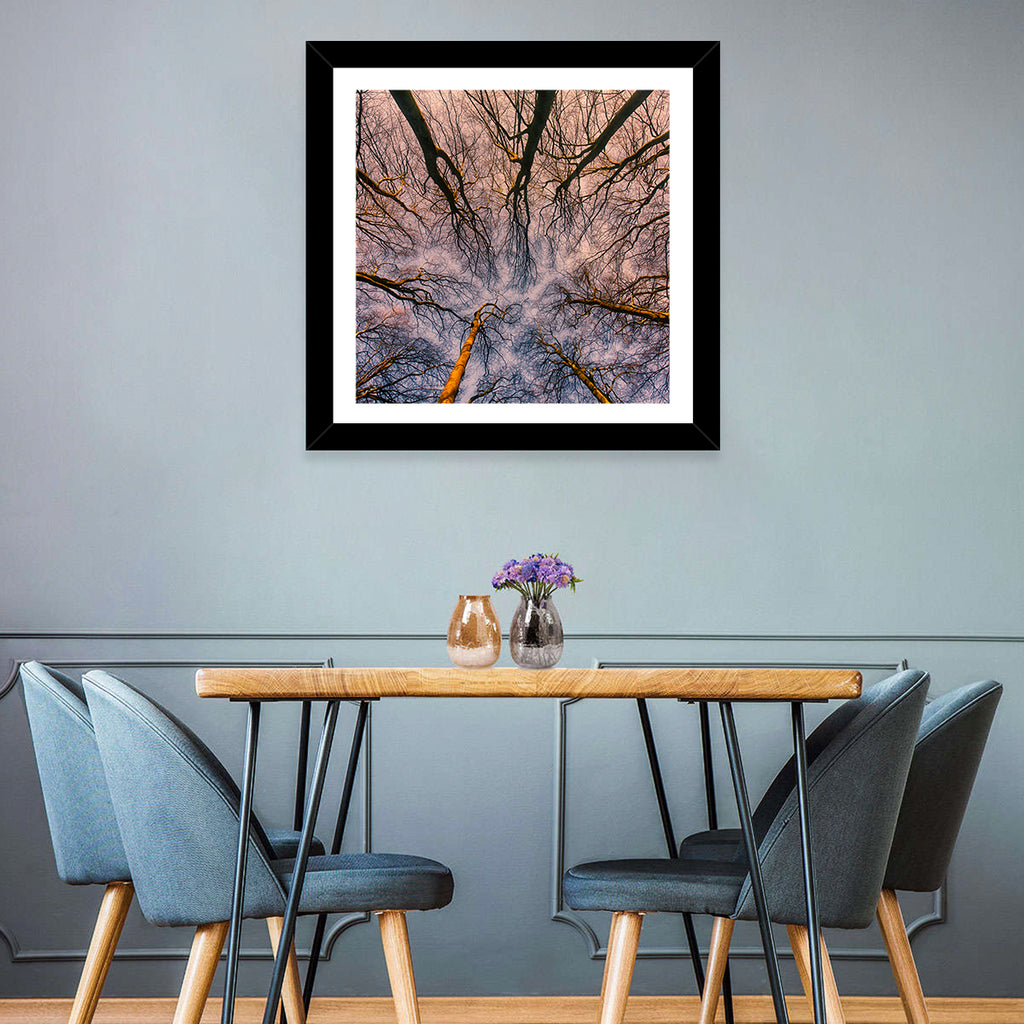 Misty Forest Canopy Wall Art