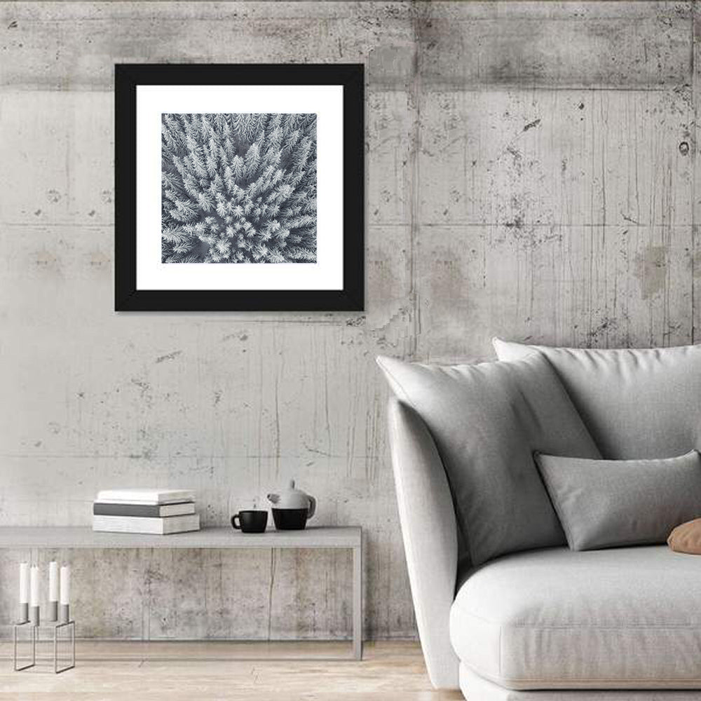 Snow Covered Pine Forest Wall Art in a room, square