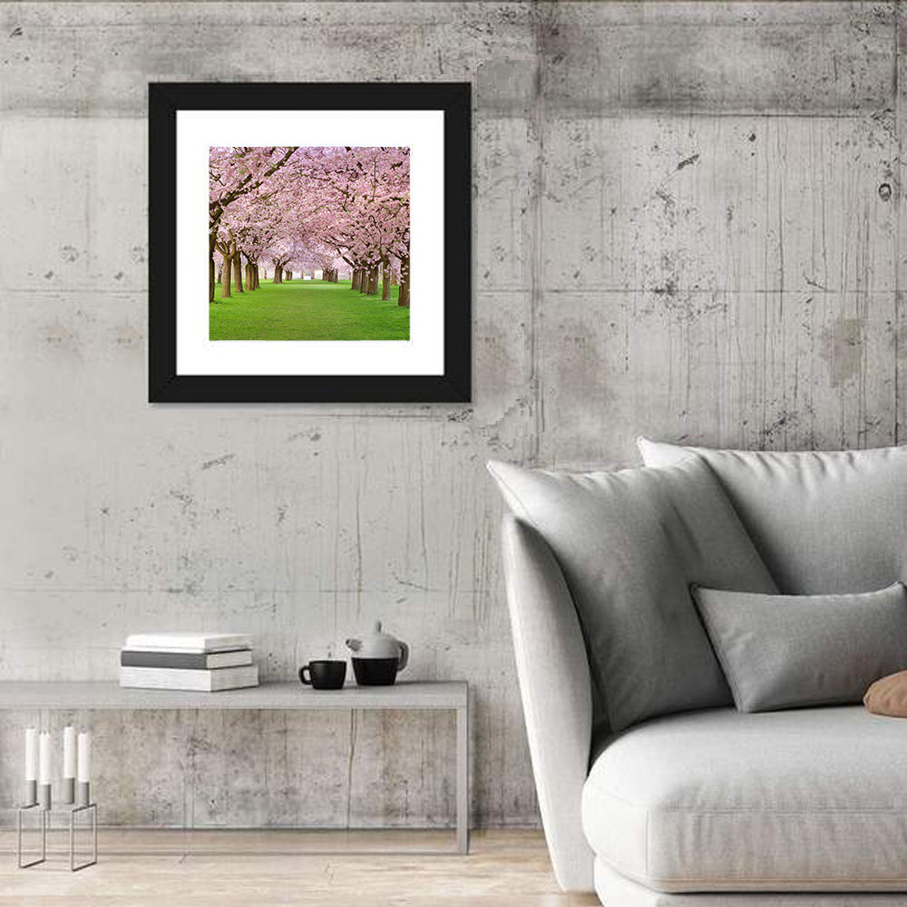 Cherry Blossom Avenue Wall Art