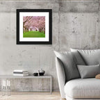Cherry Blossom Avenue Wall Art