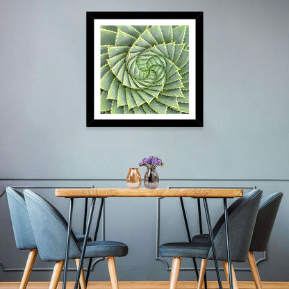 Spiral Aloe Wall Art