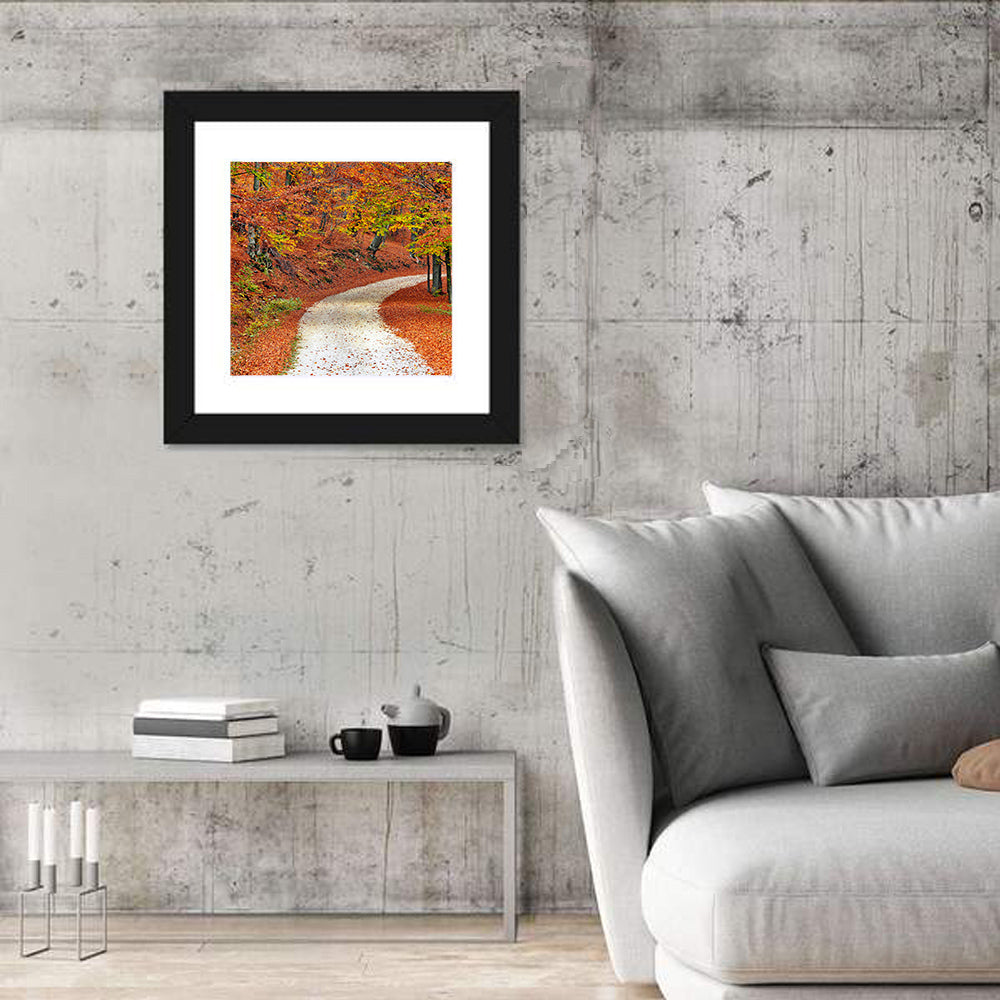 Misty Gravel Path Through Autumn Trees Wall Art in a room, square