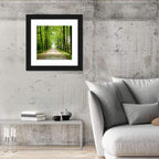 Sunlit Tree-lined Path Wall Art
