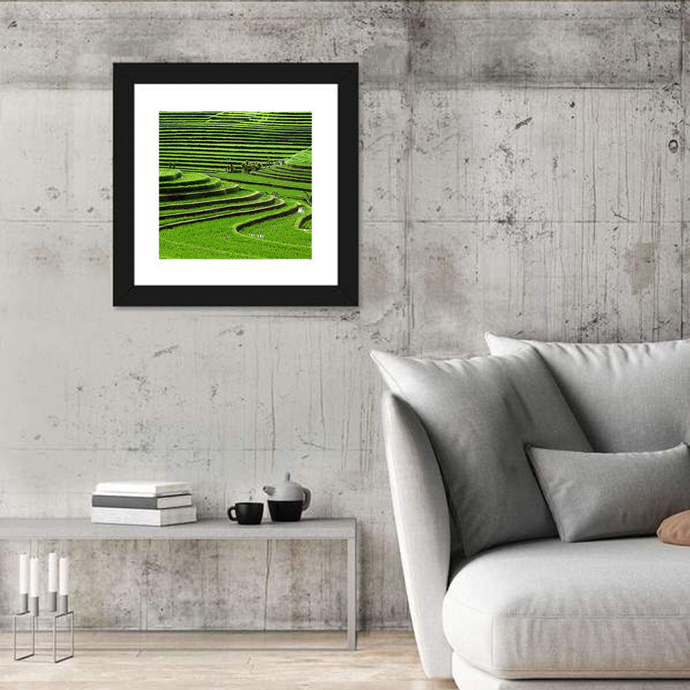 Lush Rice Terraces Wall Art