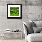 Lush Rice Terraces Wall Art