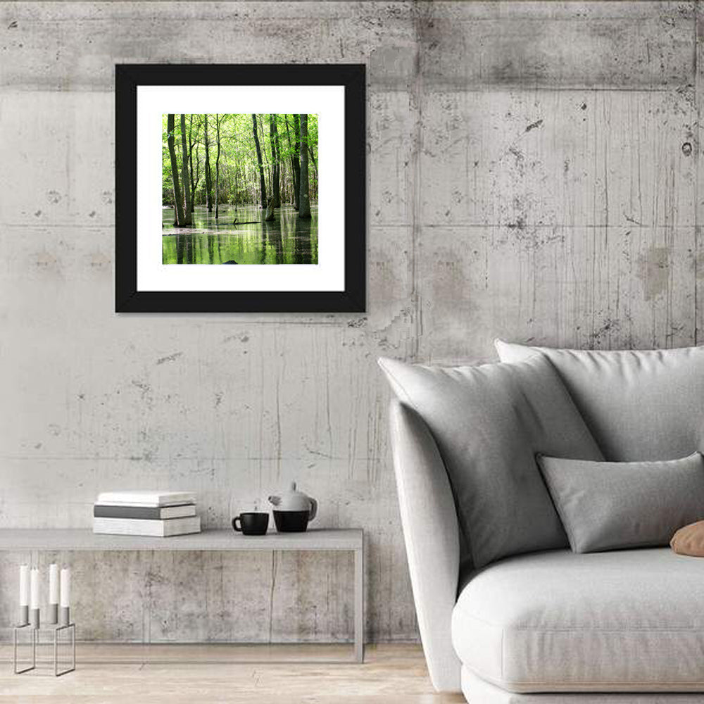 Sunlit Swamp Forest Wall Art in a room, square