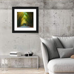 Arched Bamboo Tunnel Wall Art