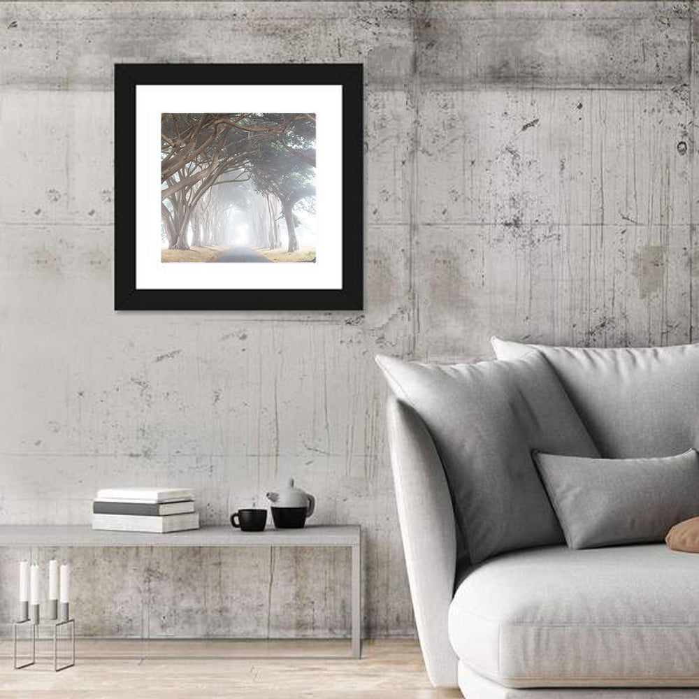 Misty Cypress Tunnel Wall Art in a room, square